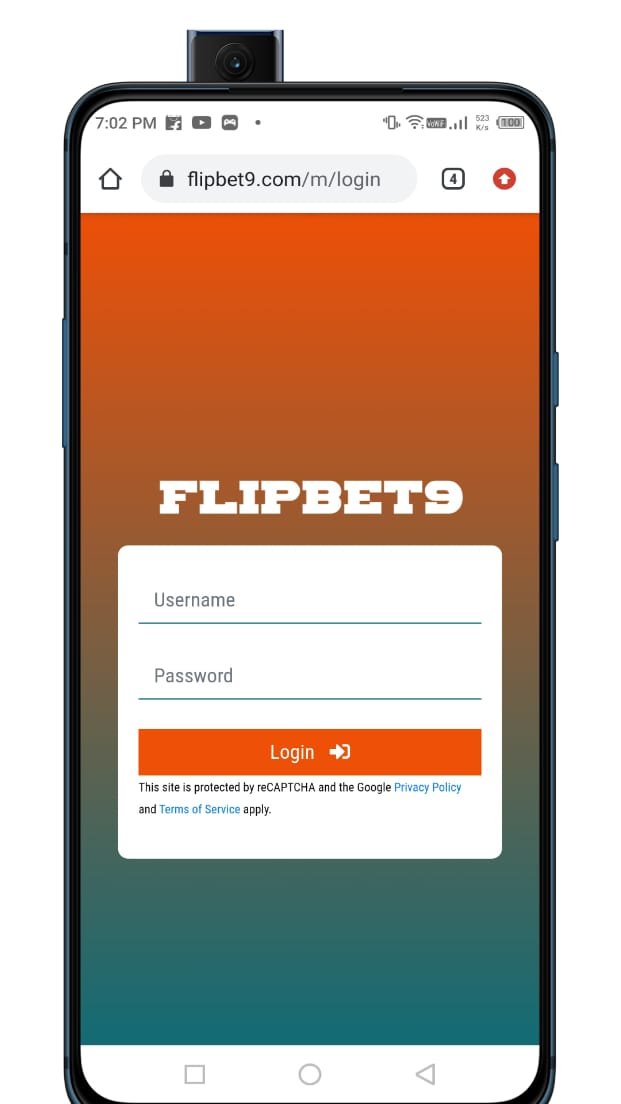flipbet9 com